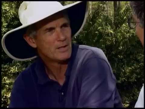 False Indigo with Walter Reeves and Allan Armitage