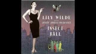 Lily Wilde      Mister Five By Five