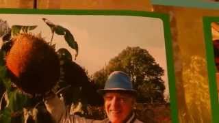 Sometimes It's Hard - Priestley Smith Inspiration