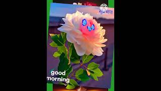 Download lagu SELAMAT PAGI SELAMAT HARI SABTU STATUS WHATSAPP VIDEO mp3