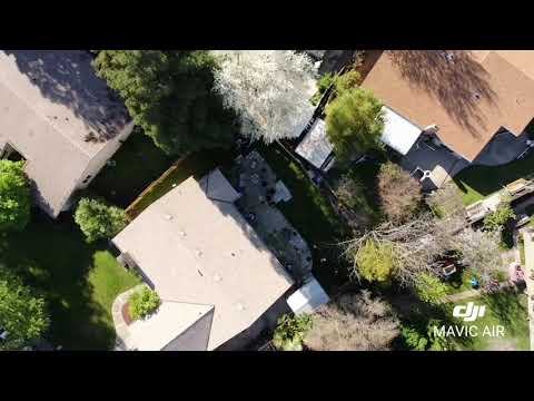 Easter Sunday 04/01/2018