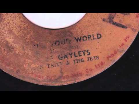 I LIKE YOUR WORLD   THE GAYLETS