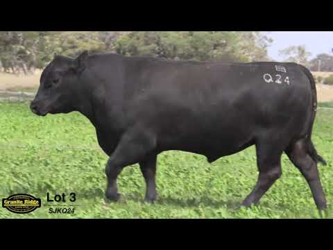 GRANITE RIDGE QUANTUM Q24