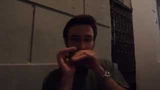 The Traveling Harmonica - HARMONICA Busker in Novi Sad, Serbia