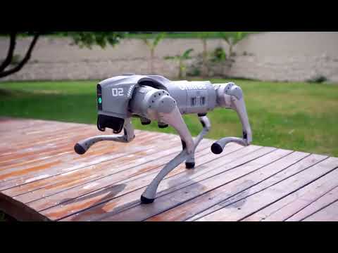 Introducing Unitree Go2 - Quadruped Robot of Embodied AI from $1600