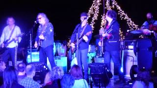 Scott McCaughey - Adios Half Soldier (Night 2, Todos Santos Music Festival)