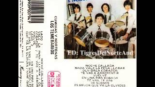 Los Temerarios Vuelve