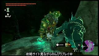 【ガノン討伐済み】攻略サイト見ながらマップ埋めアーカイブ8/17【ゼルダの伝説ティアーズオブザキングダム】