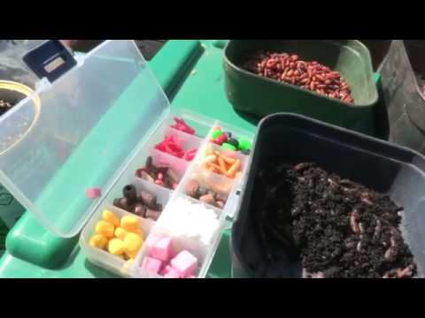 Part 12 Angling Basics with Shakespeare Starting Coarse Fishing   Understanding Baits