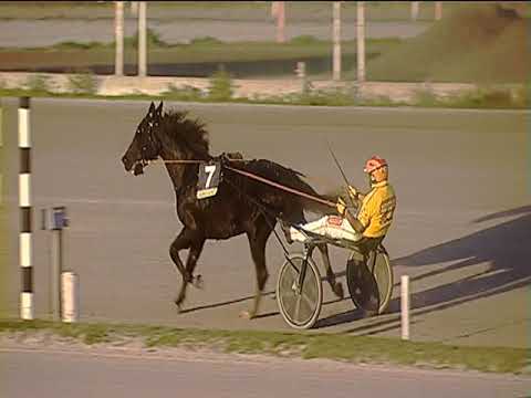 Trotto 04/12/2018 - 3ª corsa