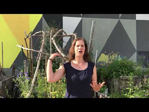 2000m2 & Wir sind Garten: Hochbeete auf dem Nachbarschaftsgarten Frieda Süd