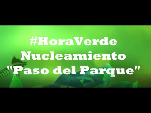 #horaverde Nucleamiento Paso del Parque