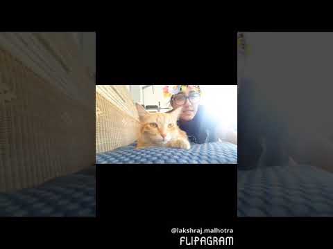 Happy Birthday Vidushi