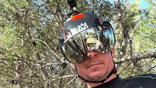 Igor Arborist