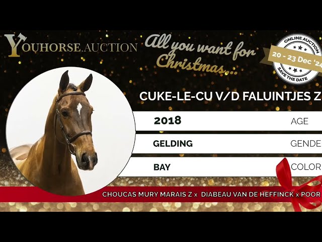 Cuke Le Cu Van De Faluintjes Z Jumping at Home