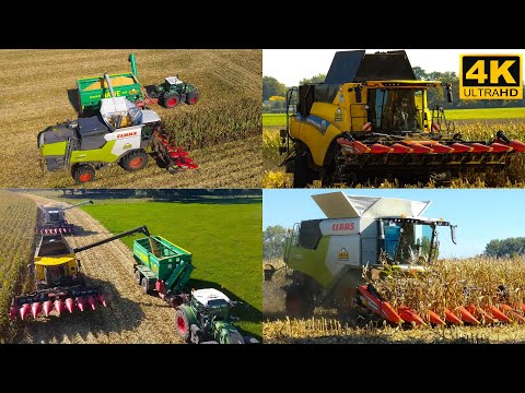 Maisdreschen 2022 mit Claas Trion 730 und New Holland CR8.80 I LU Kruse I 4k