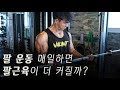 운동백서 I 팔운동 매일매일 하면 팔 근육이 더 커질까?