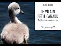 LE VİLAİN PETIT CANARD De HC Andersen CONTE AUDIO Par Valérie All1
