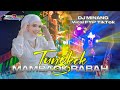 DJ MINANG FAUZANA TUNGKEK MAMBAOK RABAH Full Bass Bleyer Viral TikTok Spesial Karnaval