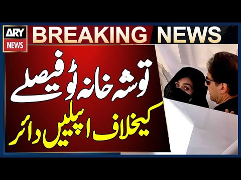Appeals Filed Against Toshakhana 2 Verdict of Imran Khan and Bushra Bibi