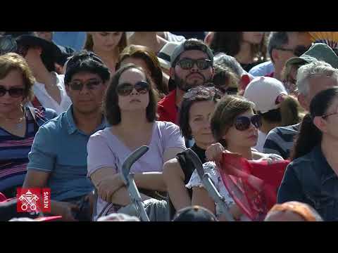 Pope Francis - General Audience 2018-08-29 Videonews