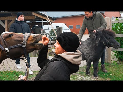 Ein alter BEKANNTER zieht in die HOF WG