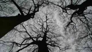 Ulfsdalir- Wenn das Licht uns nimmt