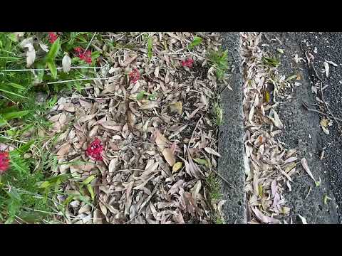 A minute of a world