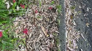 A minute of a world