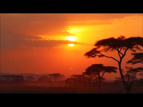 House Victimz Meets Cani B feat. Kenny Allen - Shine (Original Mix)