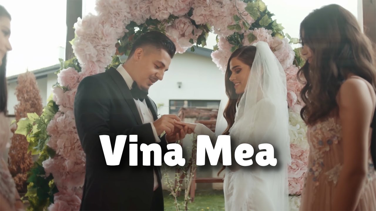 Bogdan DLP - Bogdan DLP ❌ Theo Rose - Vina Mea | Versuri
