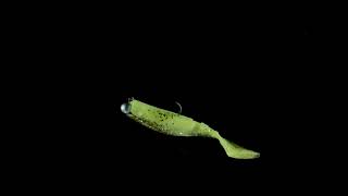 Mikado Fishunter 15cm 127