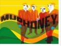 Mudhoney-Sonic Infusion