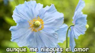 Una y mil veces. letra. Alexi Xavier