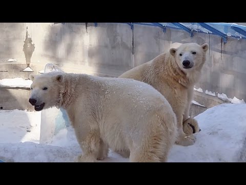 〖РОСТИКГЕРДА〗Мы не верим, что мы расстанемся❤♡♡♡❤