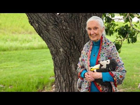 Jane Goodall visits Calgary