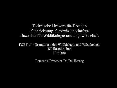 , title : 'Wildtierkrankheiten: kurze Übersicht'