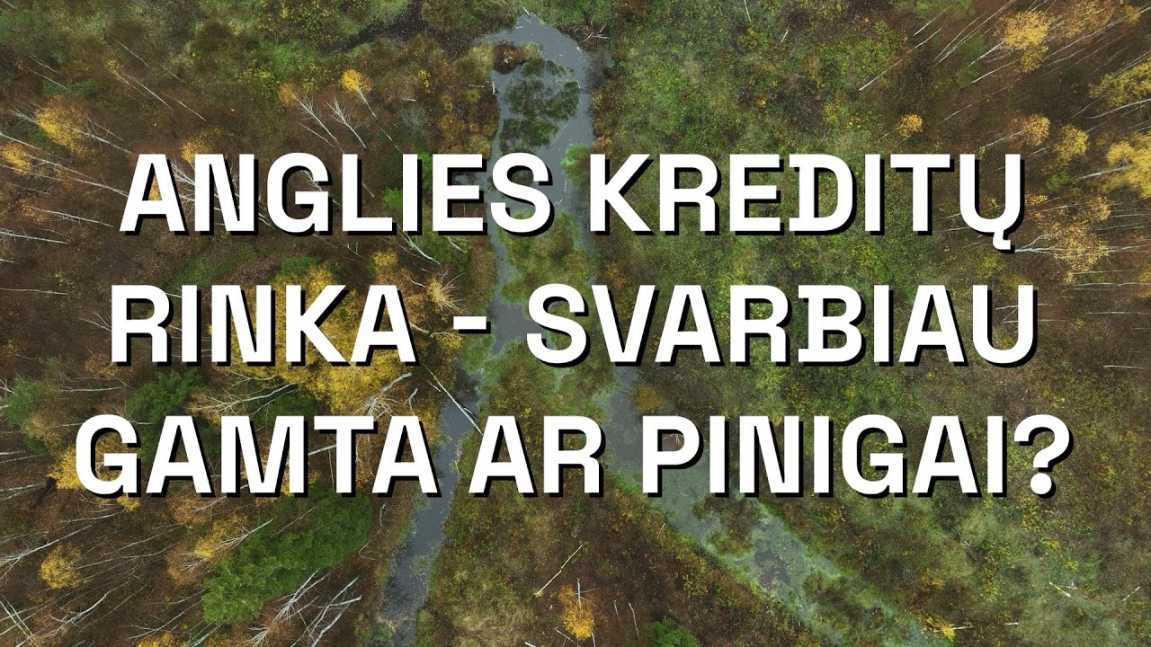 Anglies kreditų rinka – svarbu gamta ar pinigai?