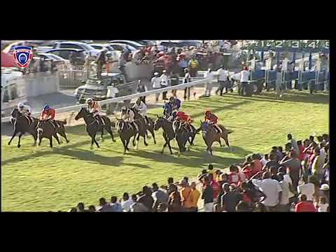 RM38 R9 | Zigi Zagi Zugi | M.Nunes