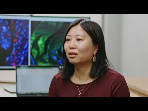 ロックフェラーの科学者：李趙博士