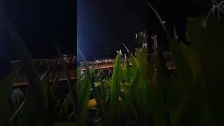 Download lagu Menikmati malam di iringi lagu Letto yg begitu menyentuh hati #lettoband #keindahanalam #tasawwuf mp3 Download lagu Menikmati malam di iringi lagu Letto yg begitu menyentuh hati #lettoband #keindahanalam #tasawwuf mp3