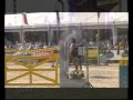 Horses Circus