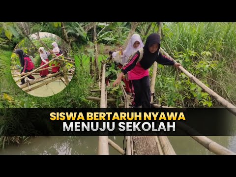 Help Us Build Bridge to Protect Children Education