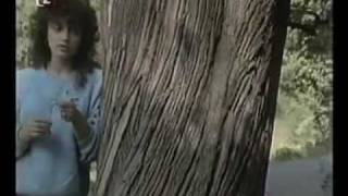 Lucie Bílá - Neobjevená (1986) Lucie Bílá - Neobjevená (1986)