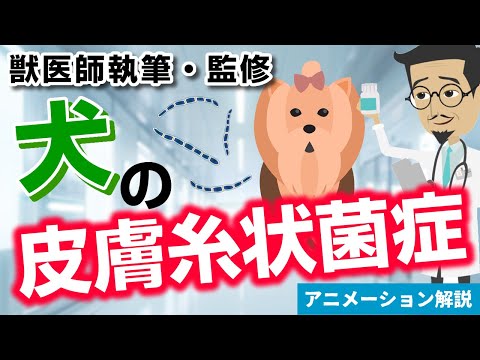 犬の皮膚にカビが生えた場合の対処法は?