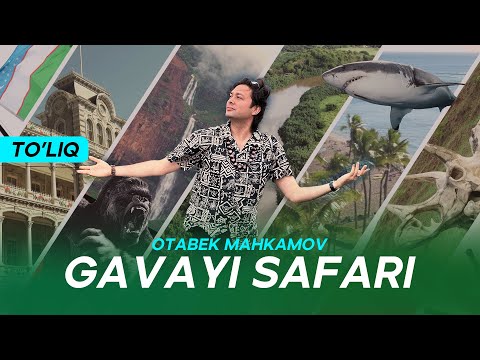 Mr.Otabekning Gavayiga Safari: Hayratlanarli Tabiat, Akulalar, Tomsiz Aholi, Tarixiy Urush, Jungli.