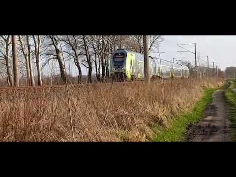 Re7 (Twindex Vario) mit Hupe nach Flensburg