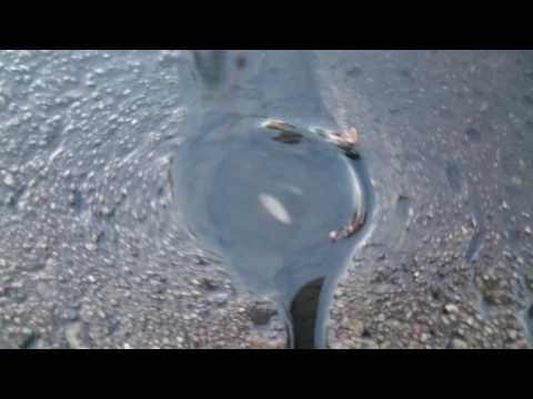 Tik - Obsesja / prod. Skone91 (Klip)