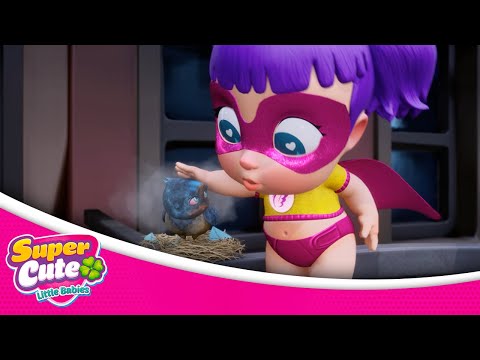 EP08  The City Bird 🐦🏢 SuperCute Little babies 🍀🍼