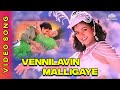 Vennilavin Malligaye Athiradi Padai Movie Songs Roja SPB K S Chitra Ilaiyaraajahitsongs